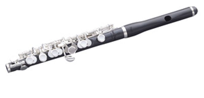 Hovedbilde Pearl piccolo 165E